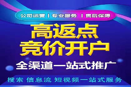某品牌SEM推广策略的成效与启示
